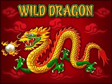 Wild Dragon Wild Dragon
