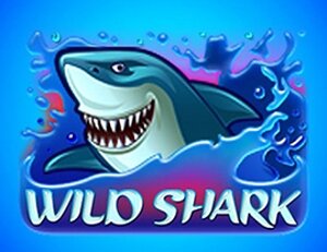 Wild Shark Wild Shark